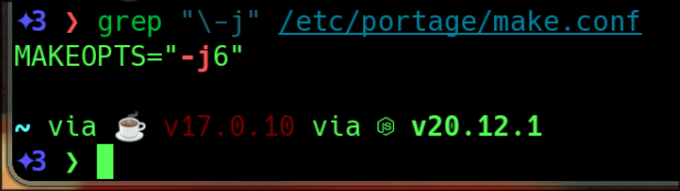 ✦3 ❯ grep "\-j" /etc/portage/make.conf
MAKEOPTS="-j6"

~ via ☕ v17.0.10 via  v20.12.1 
✦3 ❯ 
